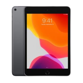 iPad Mini 5 Ricondizionato